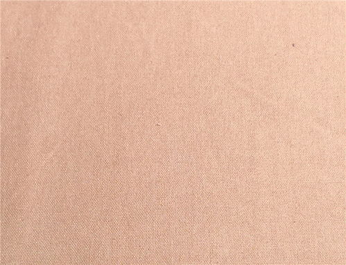 12安全涤帆布厂家 彩文纺织品公司 东莞12安全涤帆布